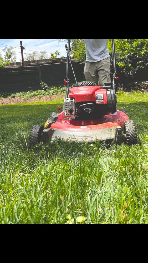 All Photos for Denver Bros Lawn Control in Denver, CO