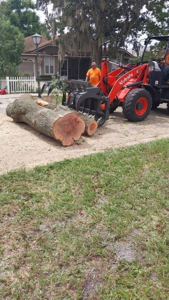All Photos for Daniel Hickey’s Tree Service in DeLand, FL