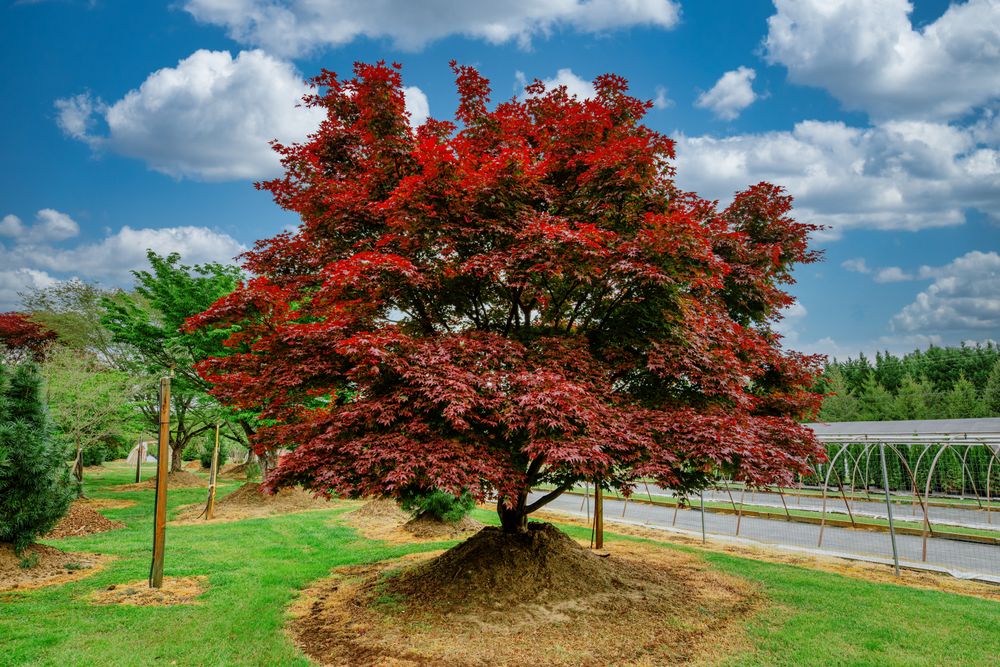 All Photos for  in Morristown, NJ