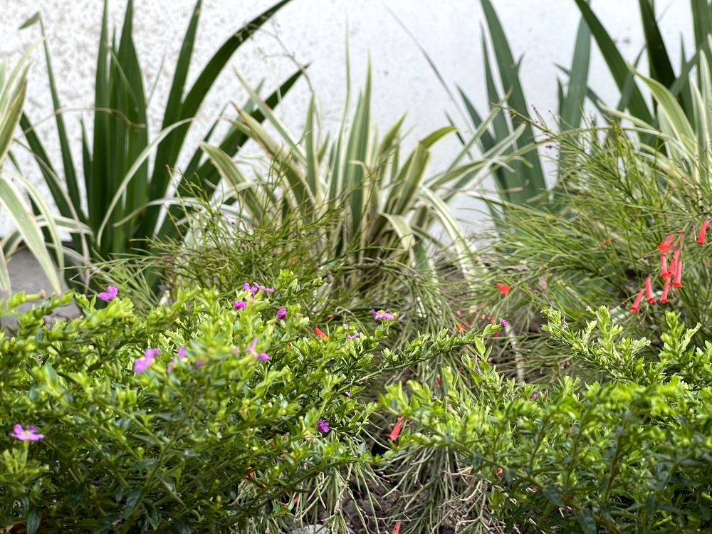 Exterior Renovations for Texas Estate Construction in West University Place, TX