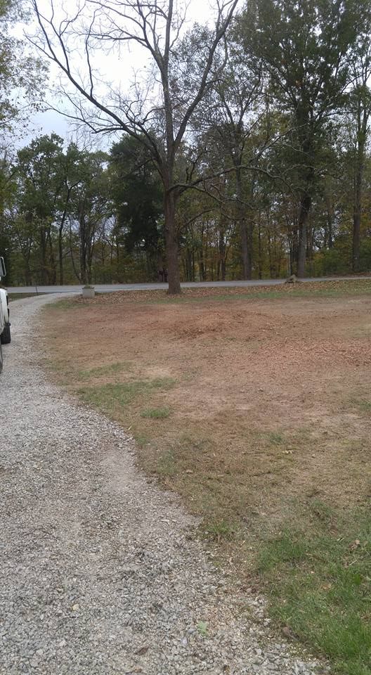 Tree Removal for Lightning Tree Service in Corydon, IN