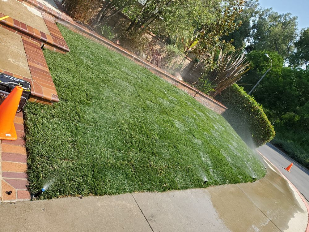 All Photos for Benito's Gardening in San Juan Capistrano, CA