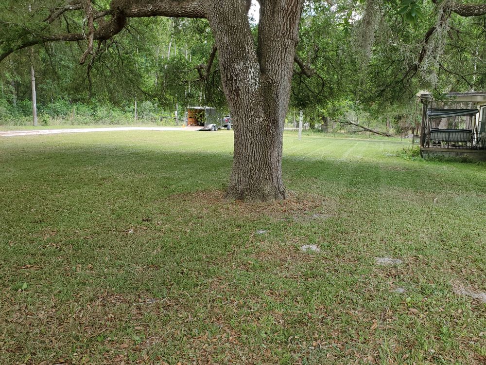 All Photos for Village Lawn Services LLC in Lake Panasoffkee, FL