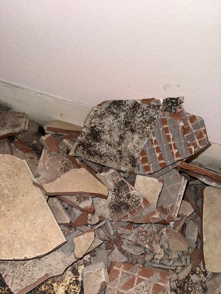All Photos for N&D Restoration Services When Disaster Attacks, We Come In in Cape Coral,  FL