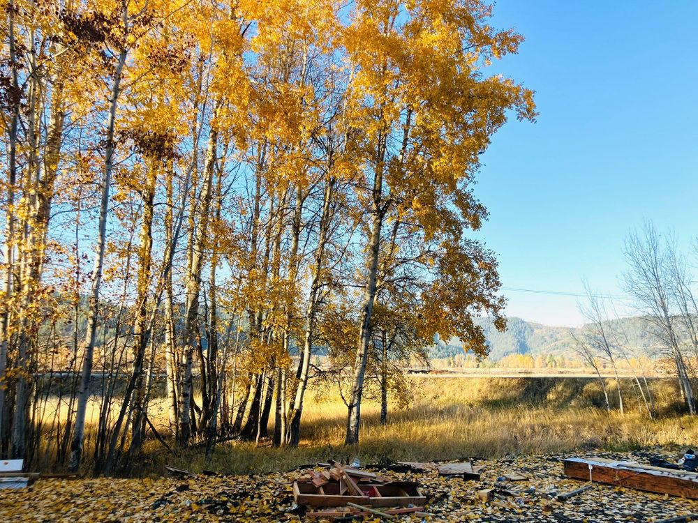 Spray Foam Insulation & Coating for Hidden River Construction Services  in Saint Maries, ID