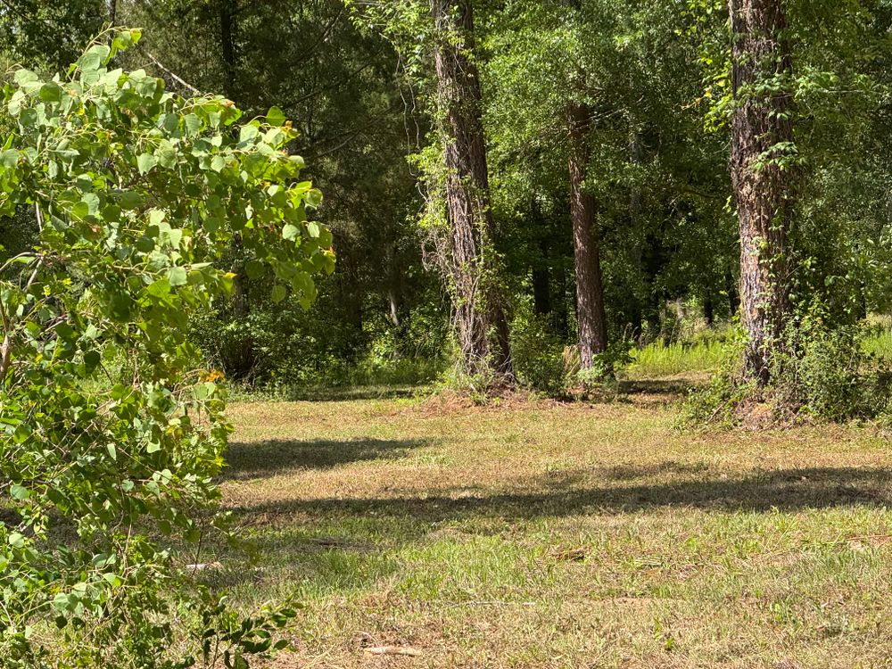Land Managment  for Camalett Services in Perry, GA