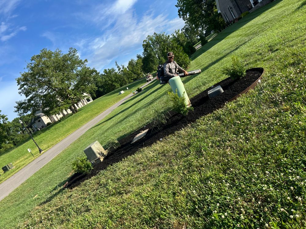 All Photos for Optimum Tree Service And Landscaping in Bowling Green, KY