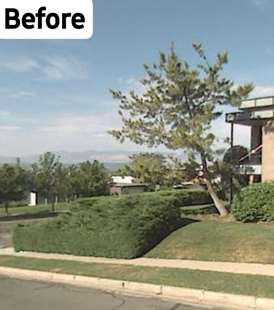 Concrete for NMT Concrete & Landscaping LLC in West Bountiful, UT