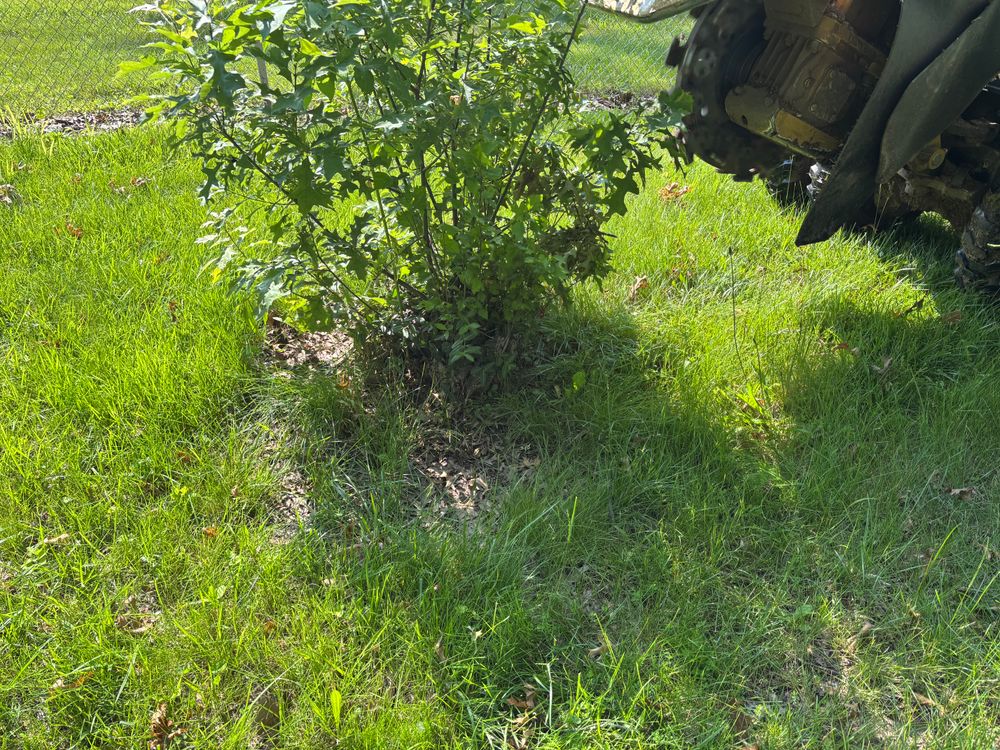 All Photos for Conrad's Stump Removal in Columbus, IN