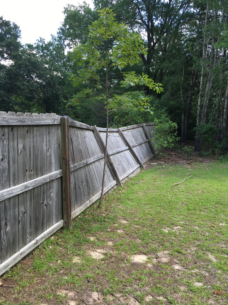 All Photos for Tucker's Tree Service and Stump Grinding in Lugoff, SC