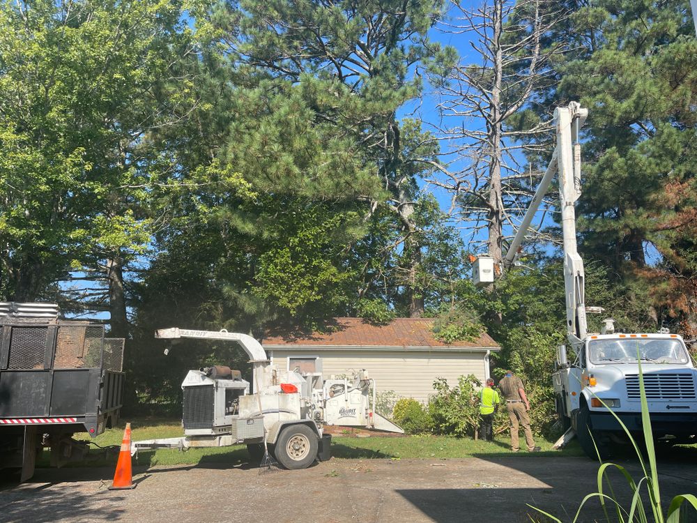 All Photos for Ross Family Tree Service LLC  in Hohenwald, TN