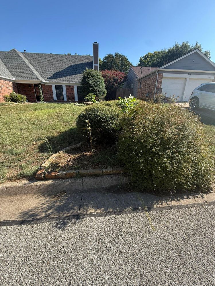 All Photos for Blu-J Tree Care in Arlington, TX