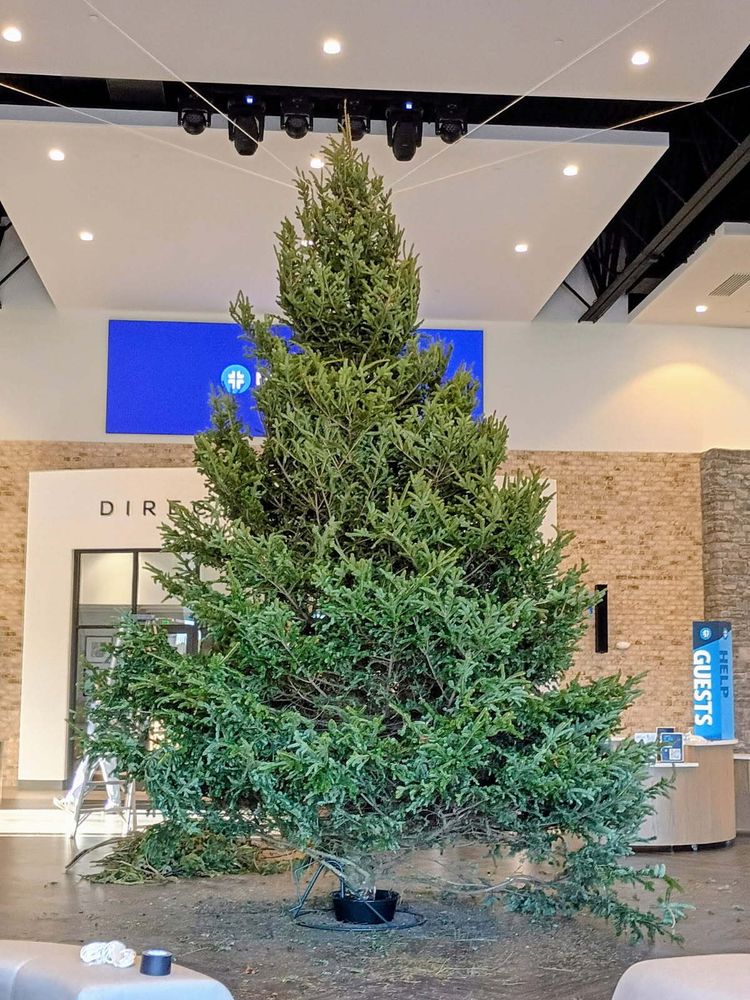 All Photos for BAM Another Pinestraw Lot in Flowery Branch, GA