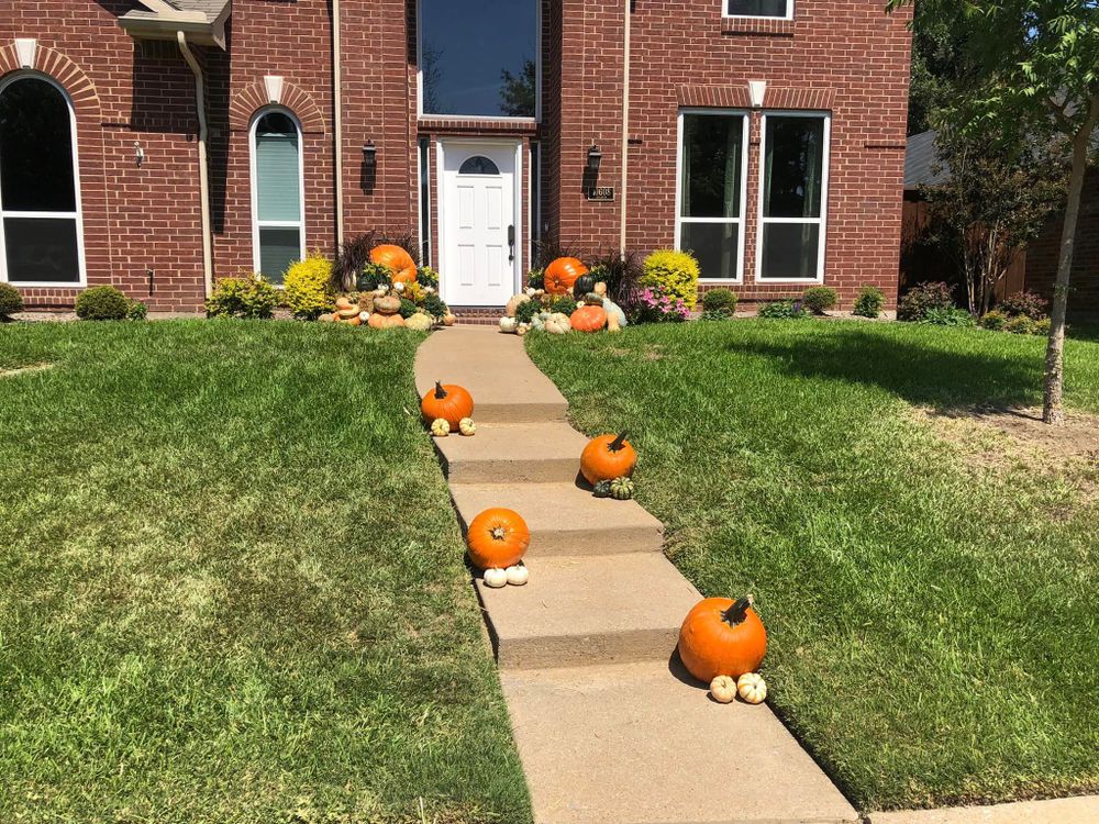 Pumpkin Displays for Rj’s Enchanted Gardens and Fencing LLC in Irving, TX