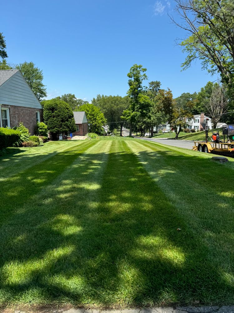 All Photos for Adams Landscaping in Springfield, MA