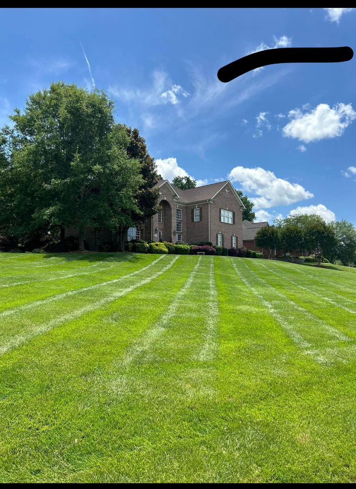 All Photos for Alvarez Landscape & Hardscape Service in Rock Hill, SC
