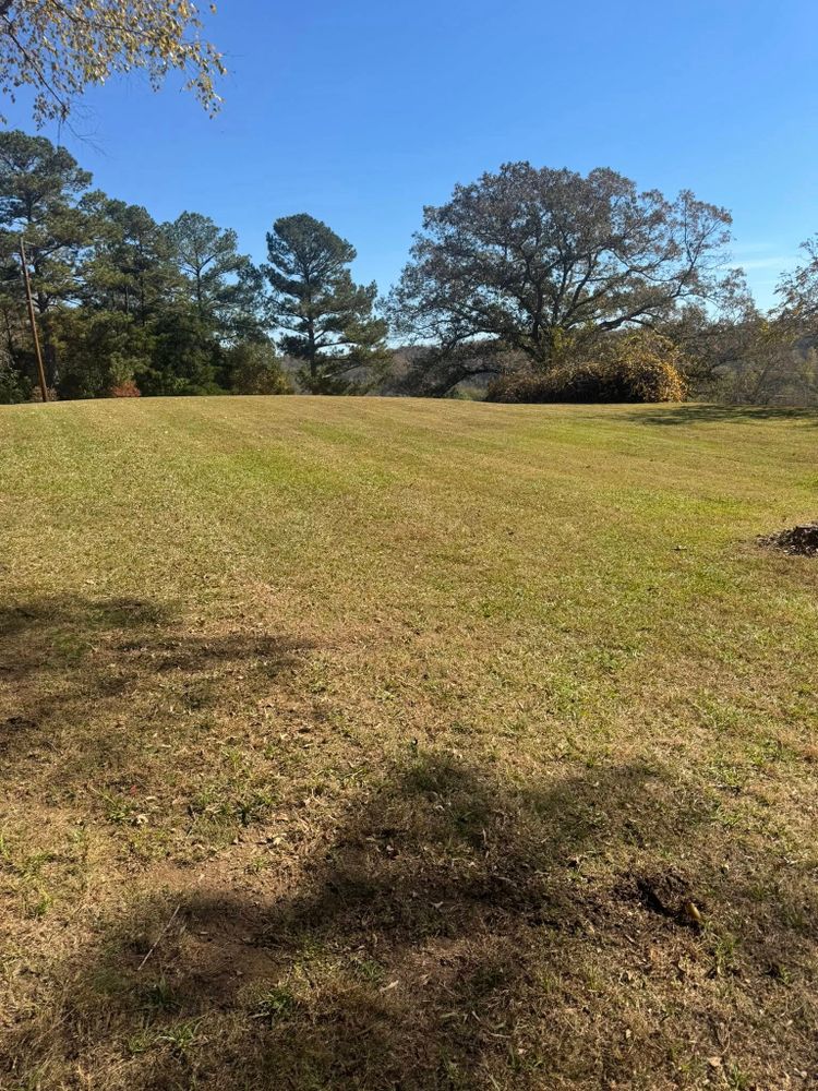 Our Lawn Maintenance service ensures a lush, healthy yard through expert mowing, trimming, and fertilization. Enjoy a vibrant landscape without the hassle. Trust our team for pristine lawn care all year round! for Sunrise Lawn Service LLC in Athens, Georgia