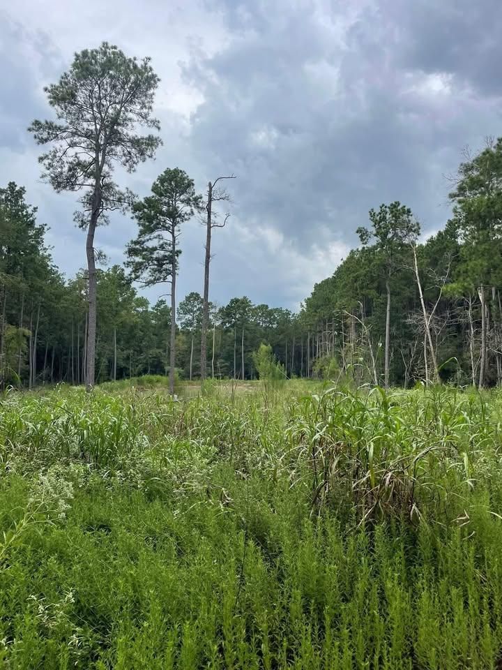 All Photos for Landers Ranch Services in Anderson, TX