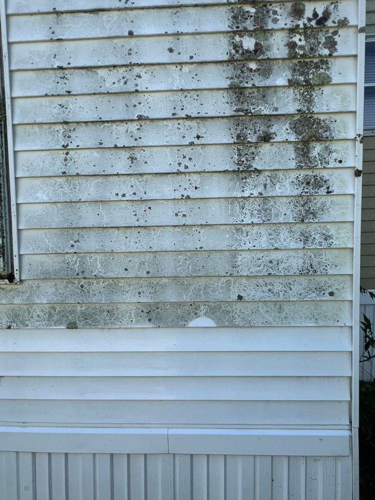 All Photos for Bishop’s Property Maintenance in Franklin, VT