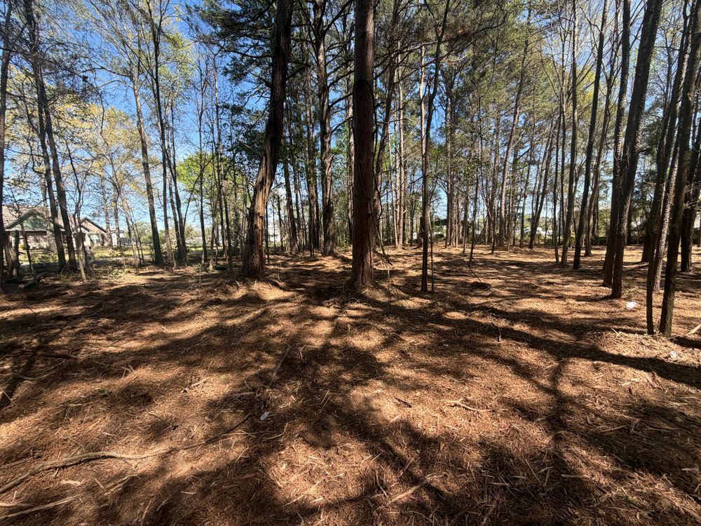 All Photos for 903 Mulching in East Mountain, TX