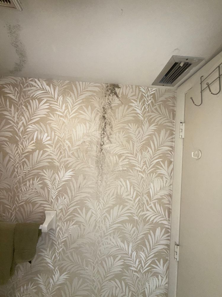 All Photos for N&D Restoration Services When Disaster Attacks, We Come In in Cape Coral,  FL