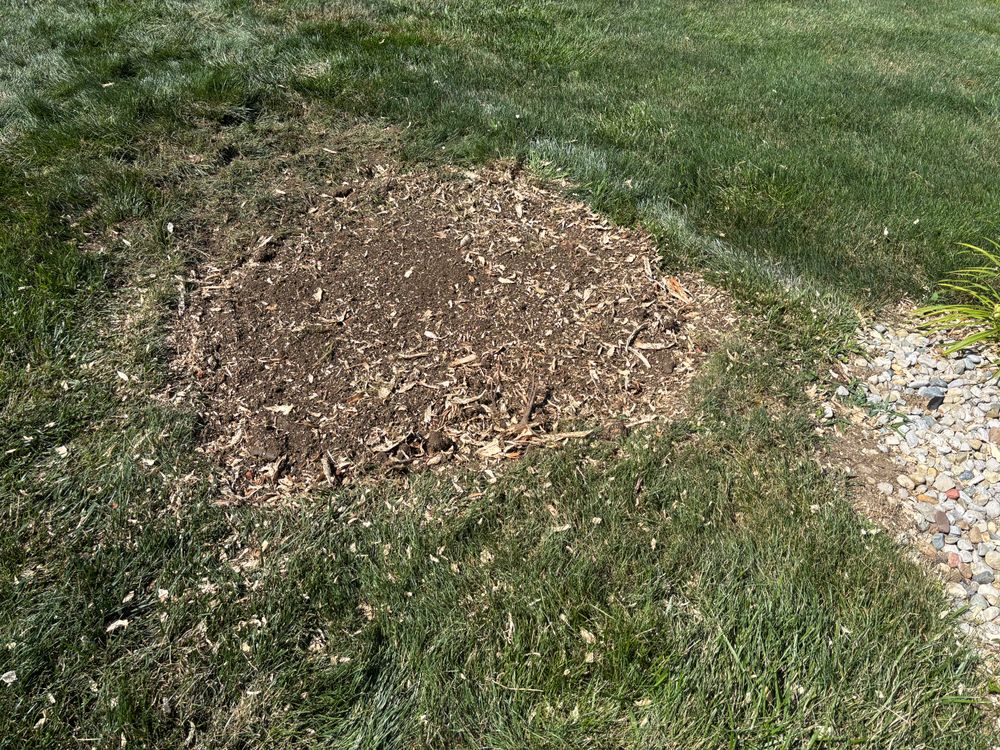 All Photos for Conrad's Stump Removal in Columbus, IN