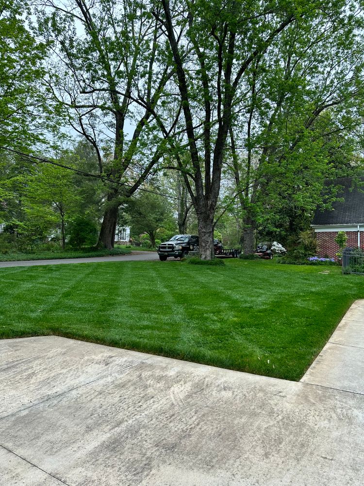 All Photos for Fenix Lawn Care in Cookeville, TN