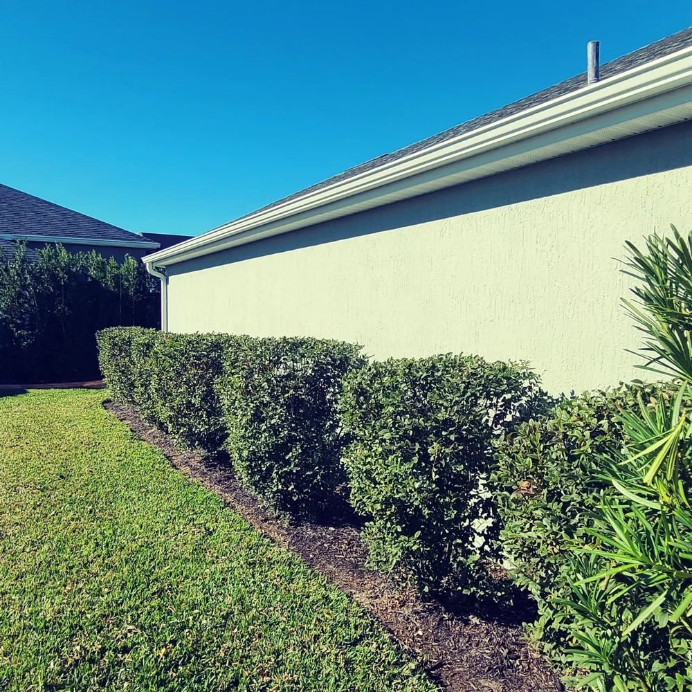 All Photos for TopNotch Landscaping Services  in The Villages, FL