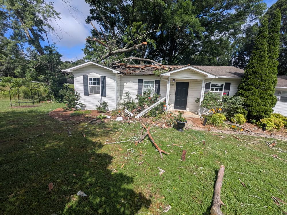 All Photos for Chipper's Tree Service  in Fort Payne, AL