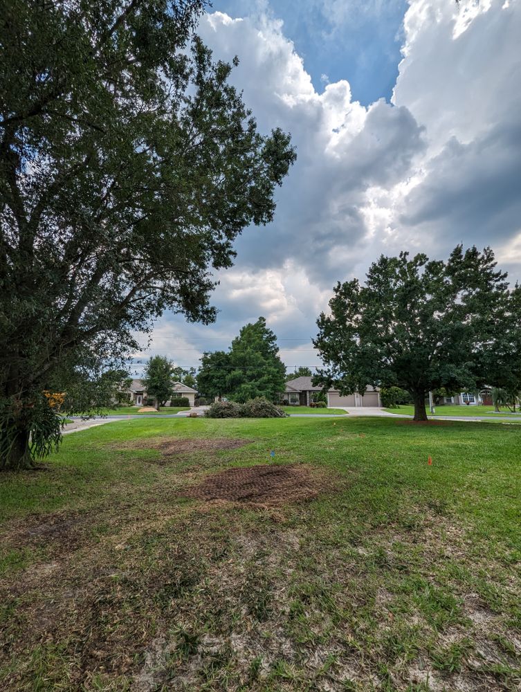 All Photos for Regal Tree Service and Stump Grinding in Wauchula, FL