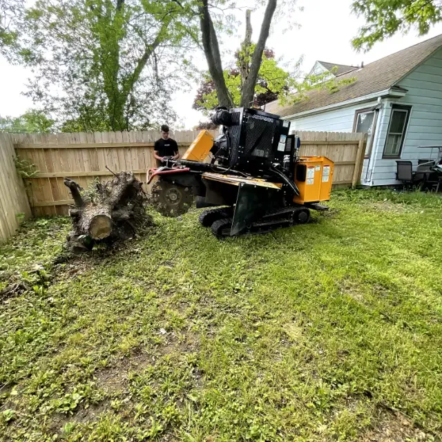 Our Stump Removal service efficiently eliminates unsightly stumps, enhancing your landscape’s beauty and safety. Trust our experts to carefully remove stumps, preventing regrowth and making way for new possibilities in your yard. for Huntsville Tree Service in Huntsville, AL