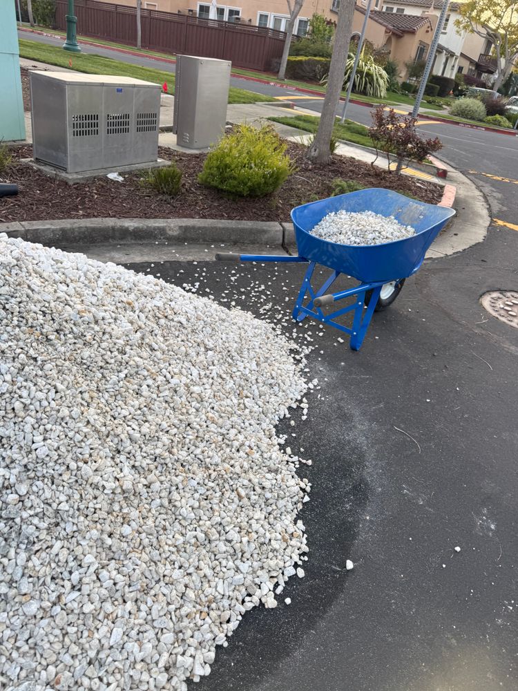 All Photos for CBA Landscaping in Hayward, CA