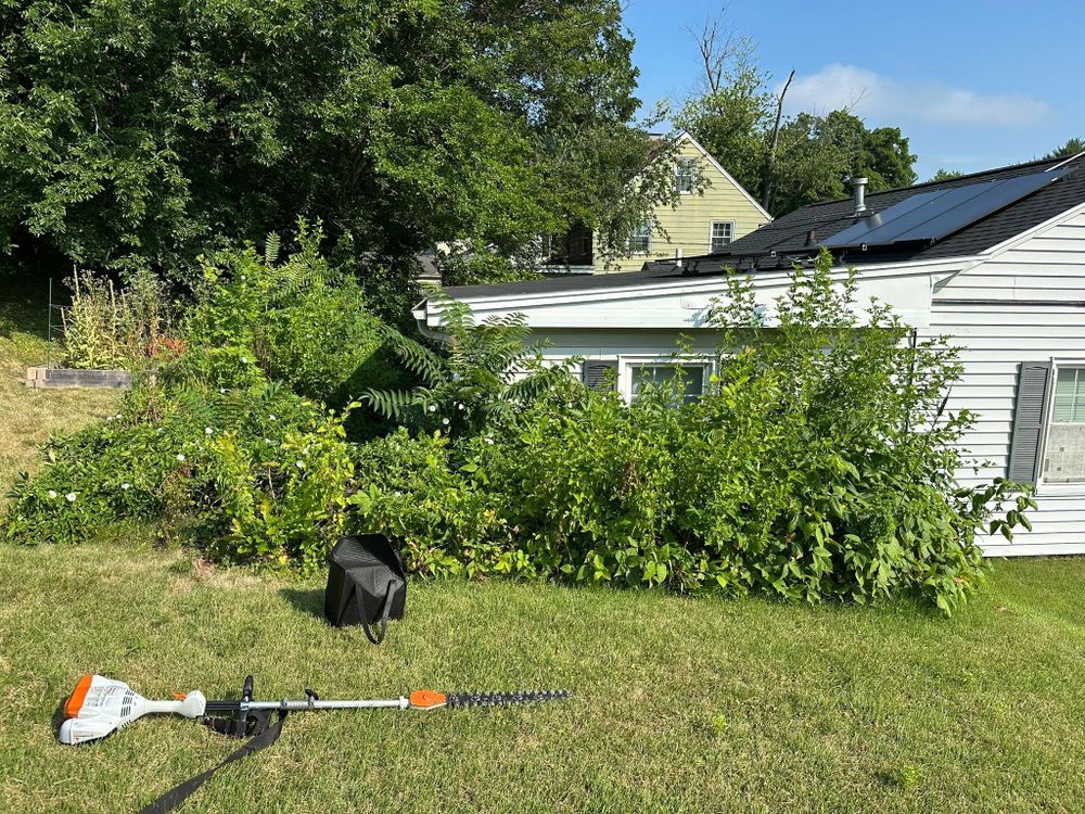 Tree Removal for Greenlee & Family Landscaping Services in Peoria, IL