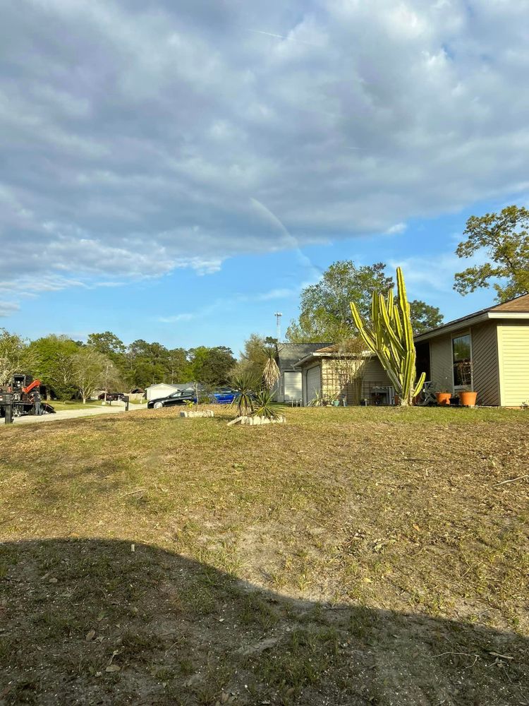 Our Land Clearing service efficiently removes trees, brush, and debris to create a clean canvas for future landscaping projects. Enhance the beauty and functionality of your property with our expert services. for Top Notch Tree Experts in Orange Park, FL