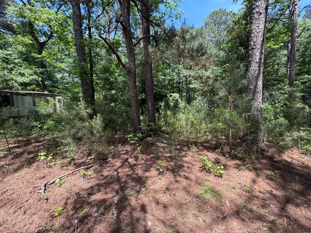 Clearing and mulching for Koelbl Site Works LLC in Fayetteville, GA