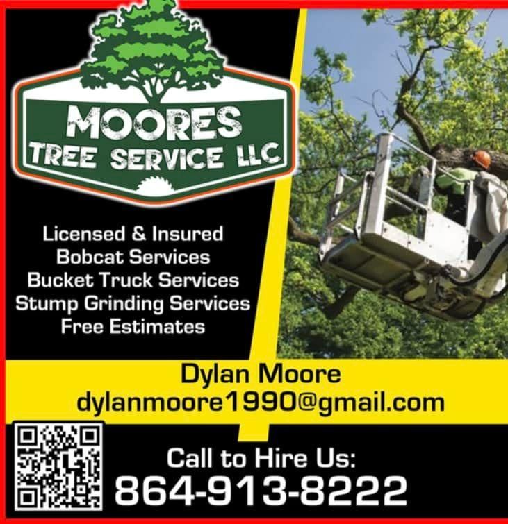 All Photos for Moore’s Tree Service in Chesnee, SC