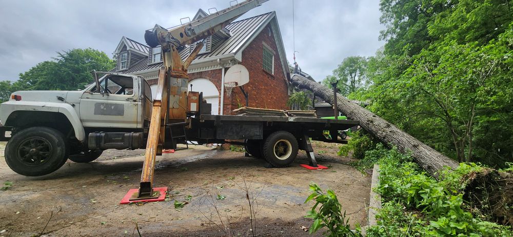 All Photos for Tree Fellers in Sumner County, TN