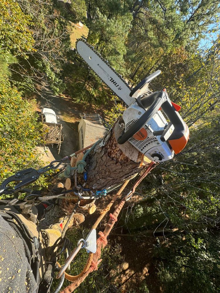 All Photos for Diversified Tree Company in Trinity, NC