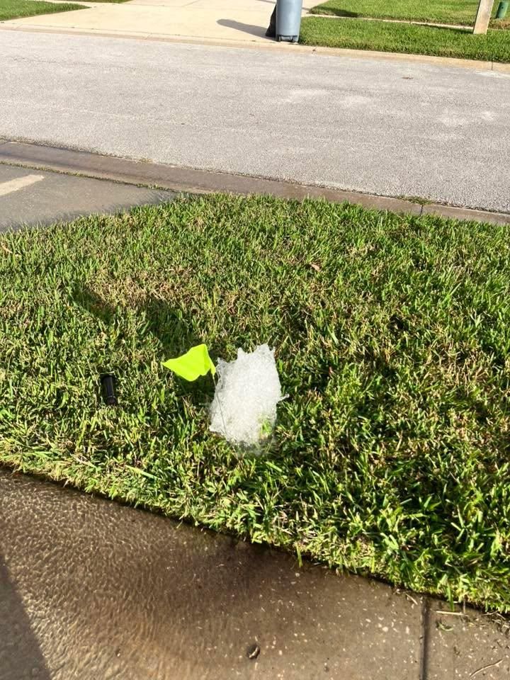 All Photos for The Sprinkler Lady in Port Orange, FL