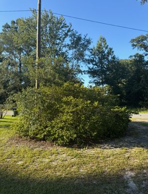All Photos for Hawkins Tree Service & Land Management in Richmond Hill, GA