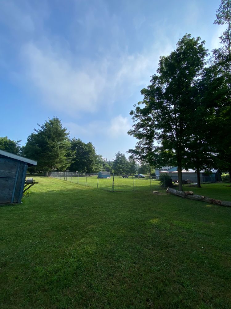 All Photos for Licensed to Cut in Athens, PA