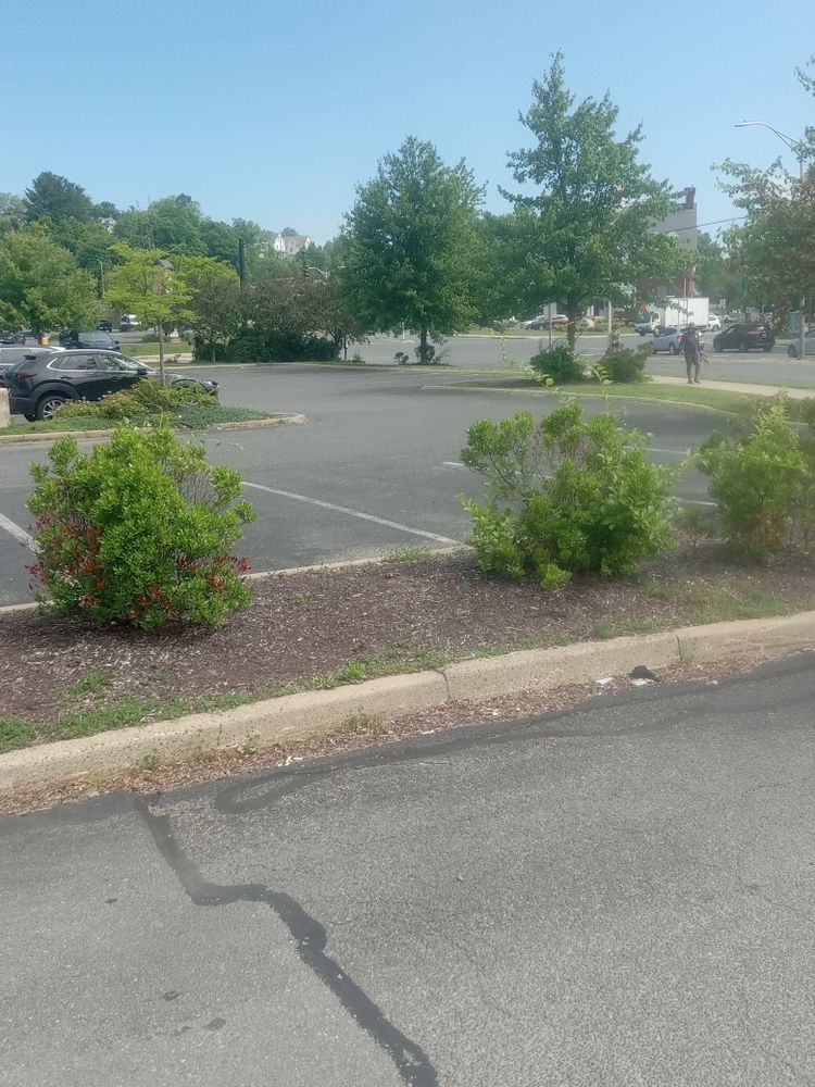 All Photos for K Brown's Property Maintenance in Pittsfield, MA
