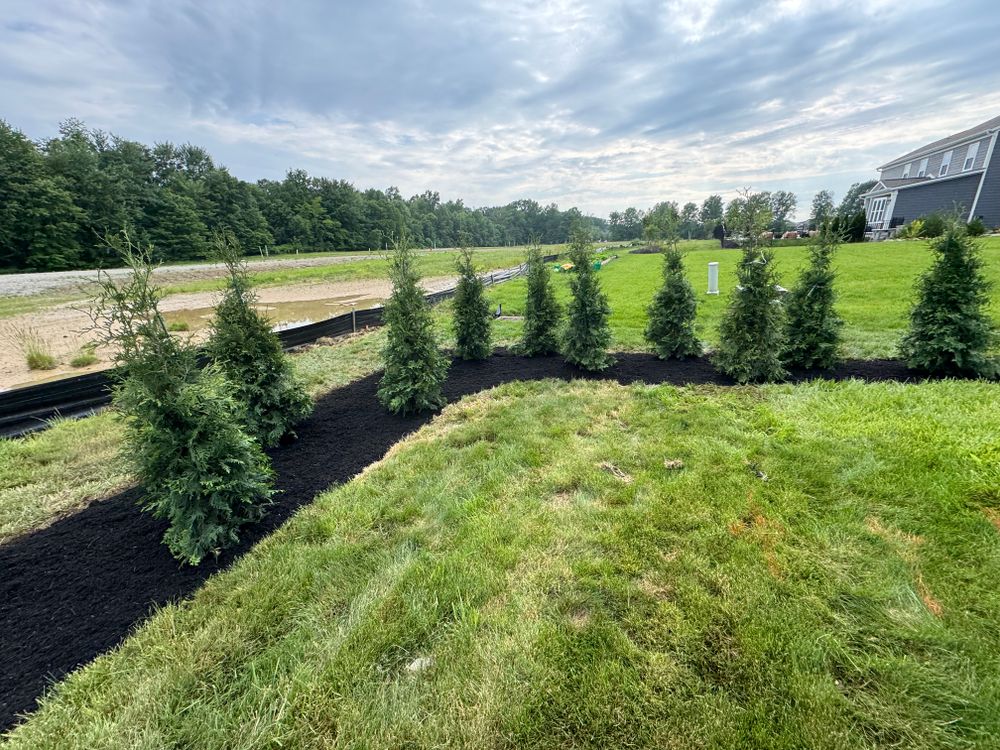Hardscaping & Tree Installs  for Dewhurst Landscaping & Lawncare in Pickerington, OH