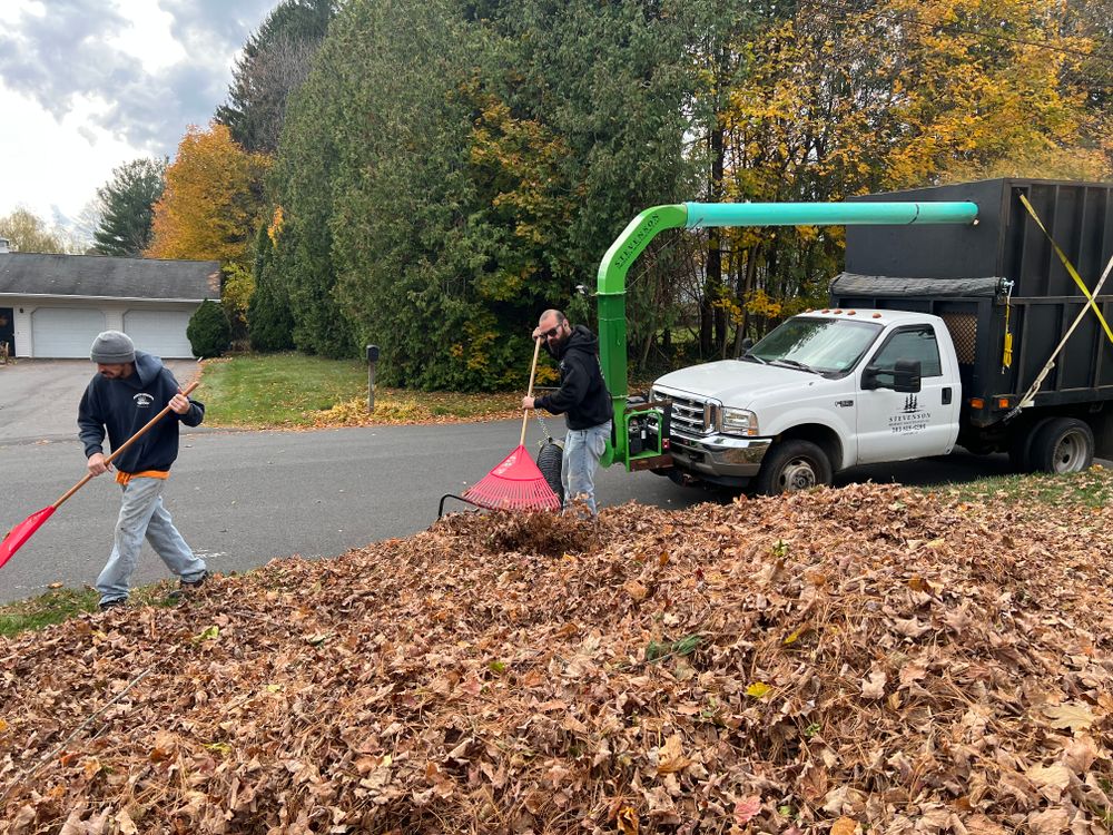 Seasonal Clean Ups for Stevenson Property Maintenance in Cheshire, CT