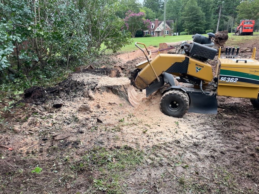 All Photos for MJB’s Stump Grinding LLC in Tennille, GA