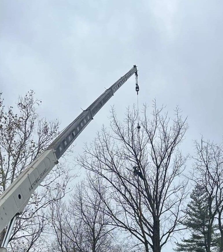 All Photos for Highborn Tree Service in Wheatfield, IN