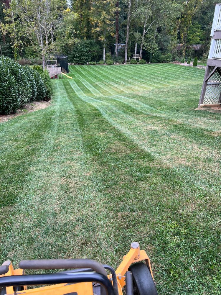 All Photos for SkyLimit LawnCare in Asheville, NC