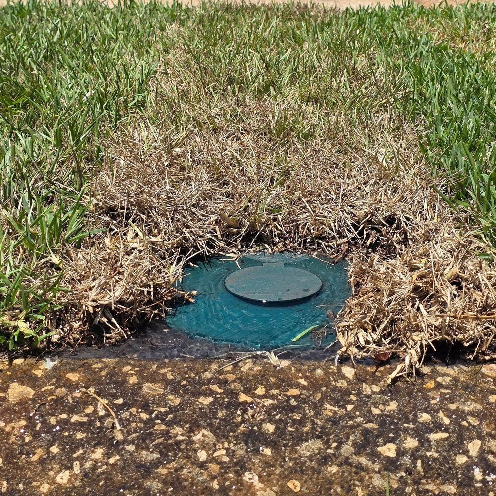 All Photos for Sam's French Drains and Landscape in Orlando, Florida