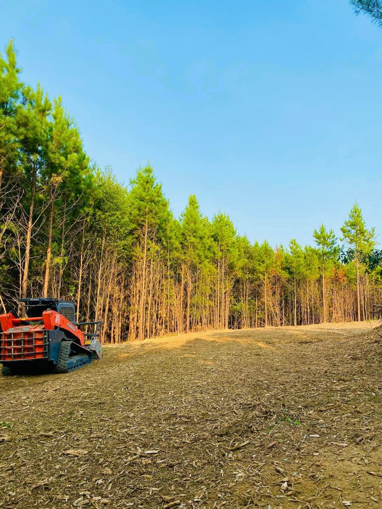 Our Skid Steer Work service efficiently handles grading, leveling, and debris removal for homeowners. Trust our expertise to prepare your property with precision and care, ensuring a smooth foundation for landscaping projects. for Green Land Management in Mount Pleasant, TN