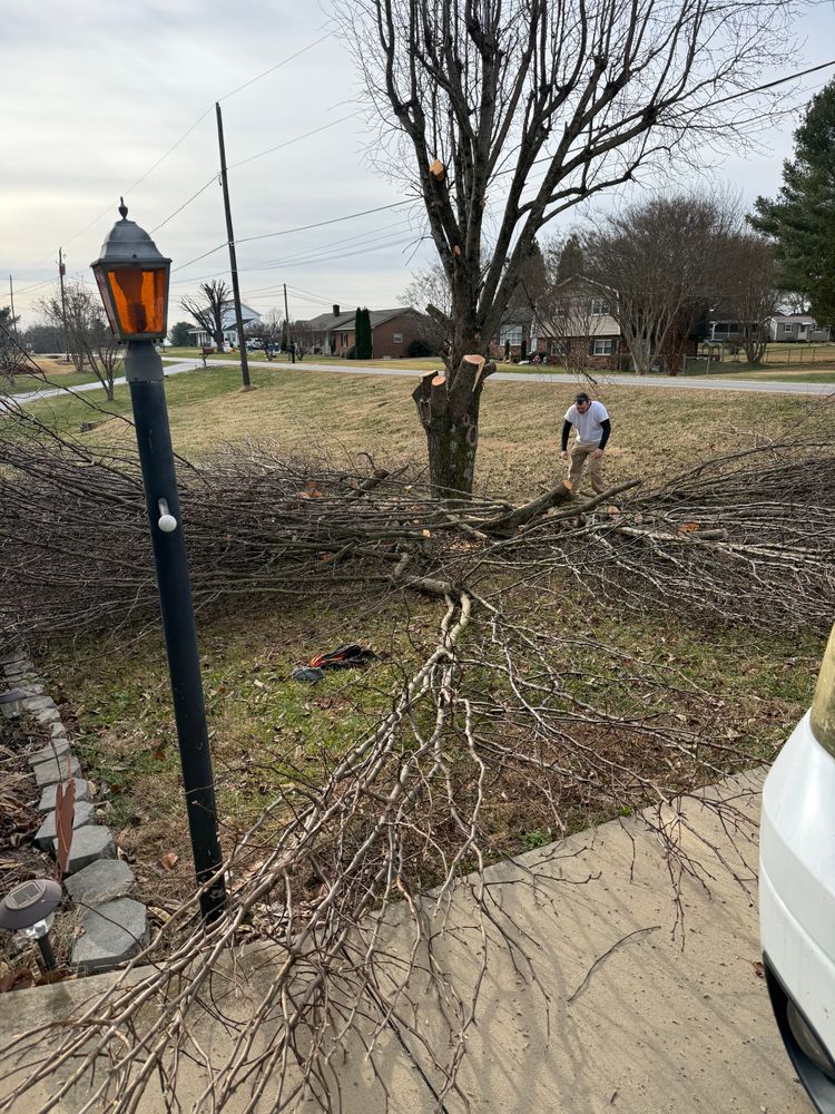 All Photos for Quartz Creek in Claremont, NC